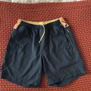 Men’s Birddogs swim suit - navy, medium